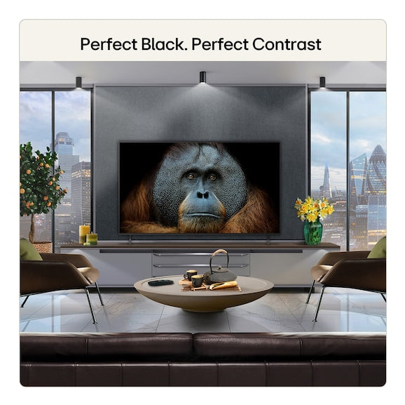 LG 55" B6 OLED AI 4K UHD Smart TV | OLED55B65LA